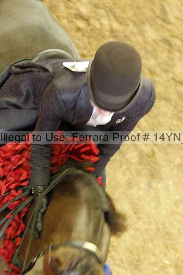 Proof 14yn_19905