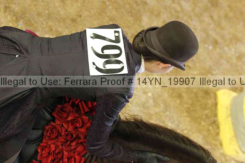 Proof 14yn_19907