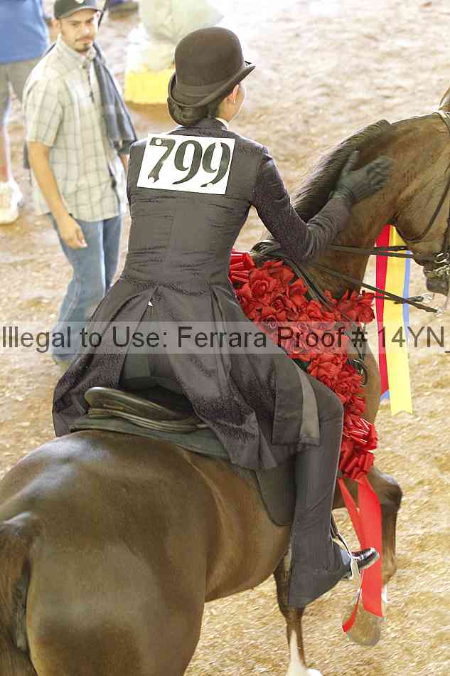 Proof 14yn_19909