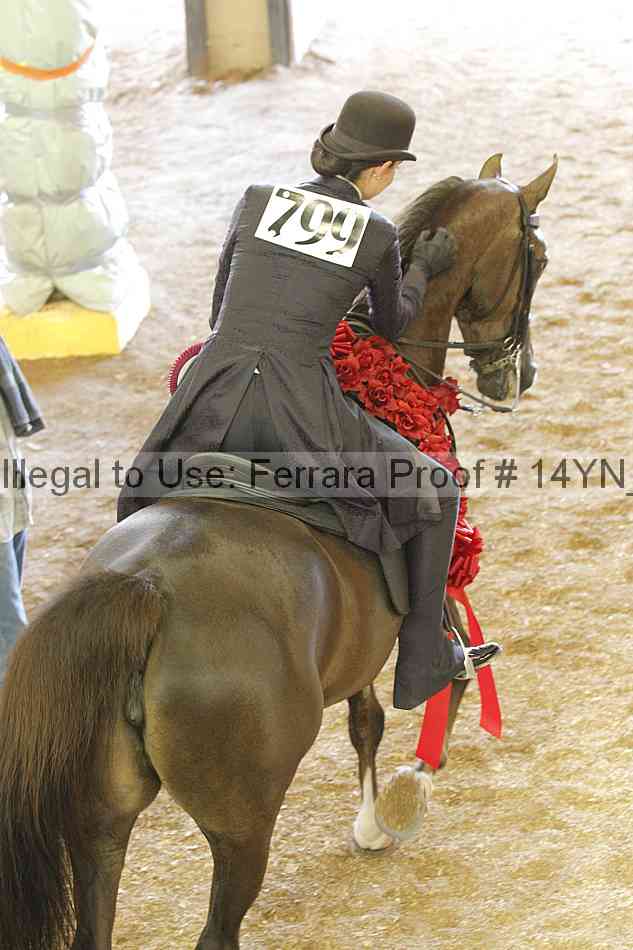 Proof 14yn_19910