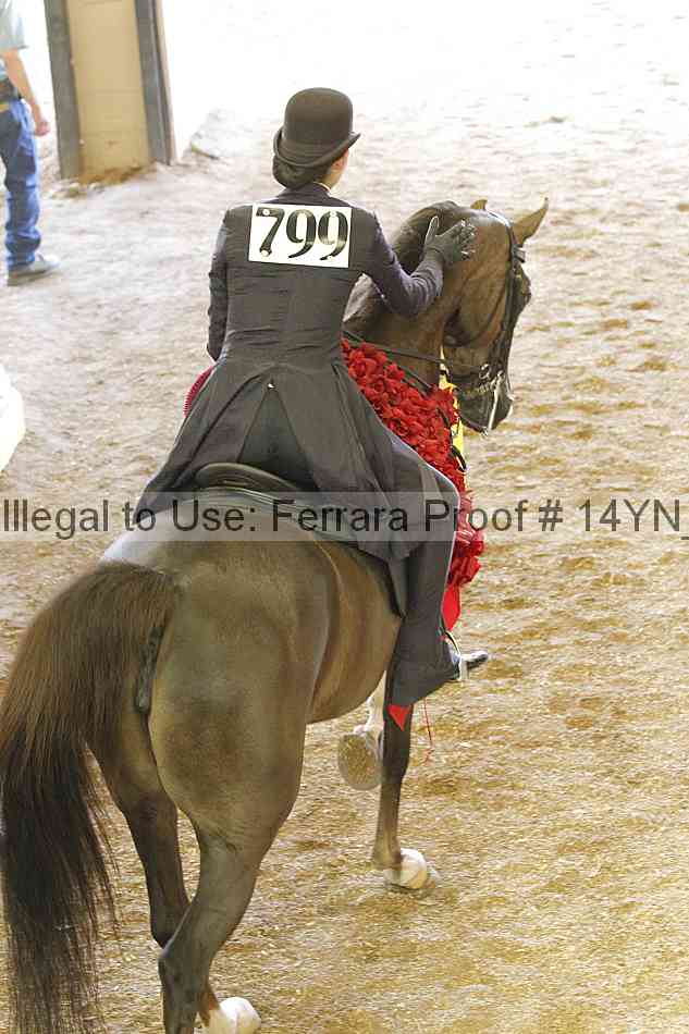 Proof 14yn_19911