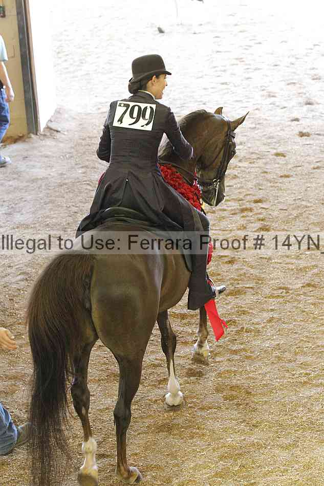 Proof 14yn_19912