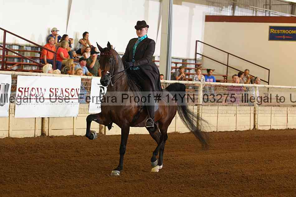 Proof 14yn_03275