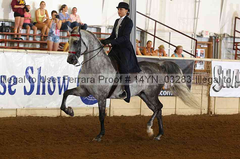 Proof 14yn_03283