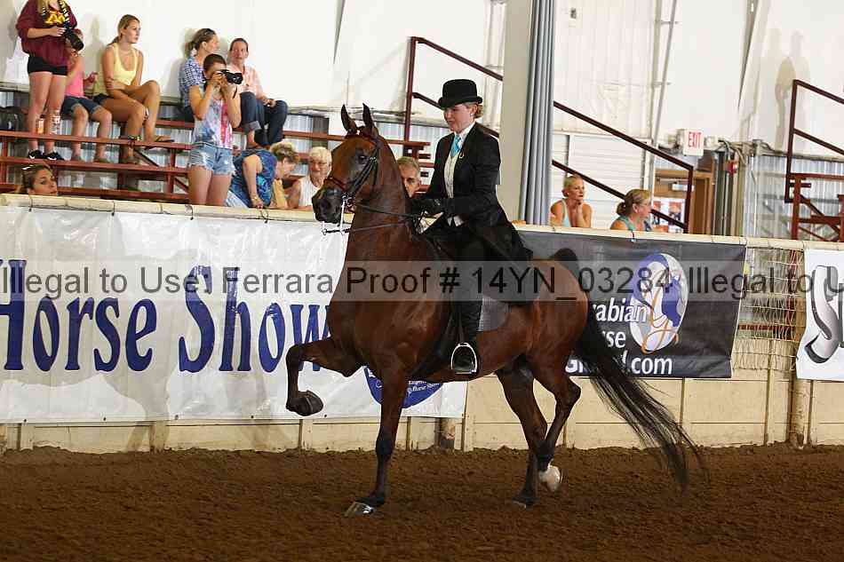 Proof 14yn_03284