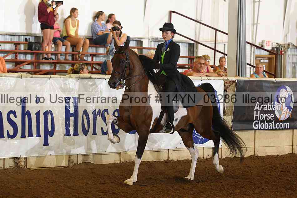 Proof 14yn_03286