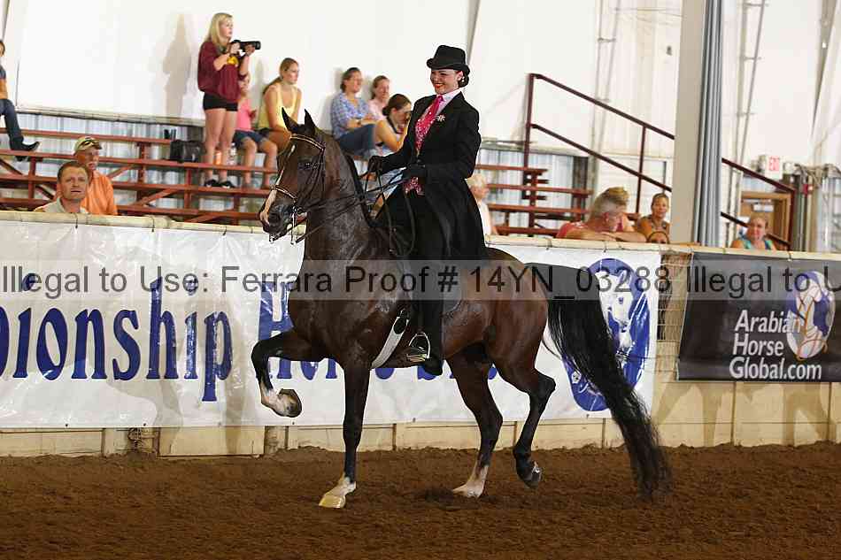 Proof 14yn_03288