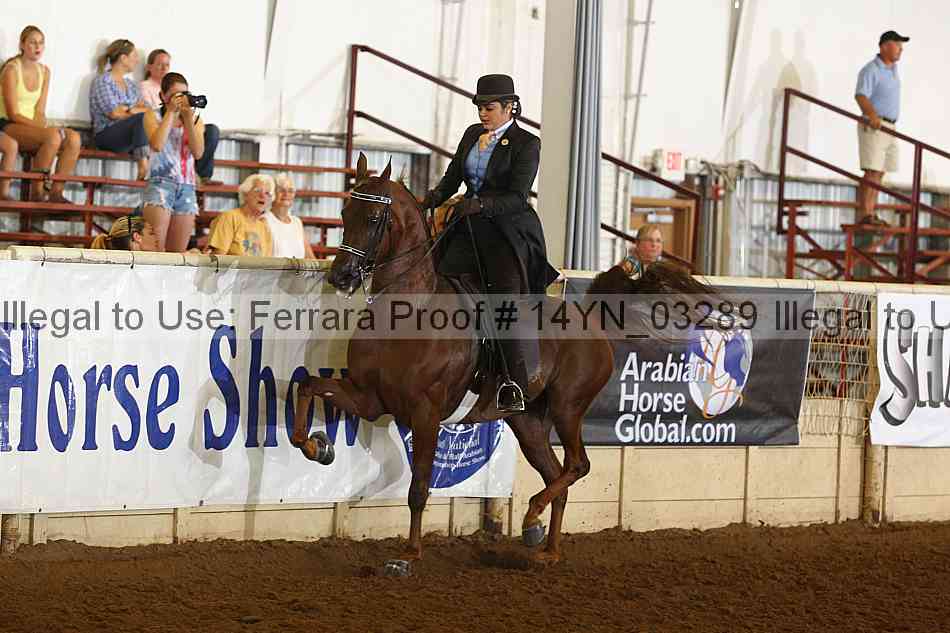 Proof 14yn_03289
