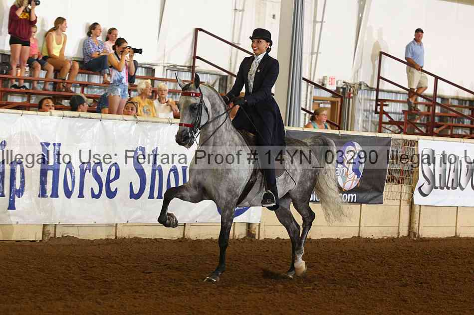 Proof 14yn_03290