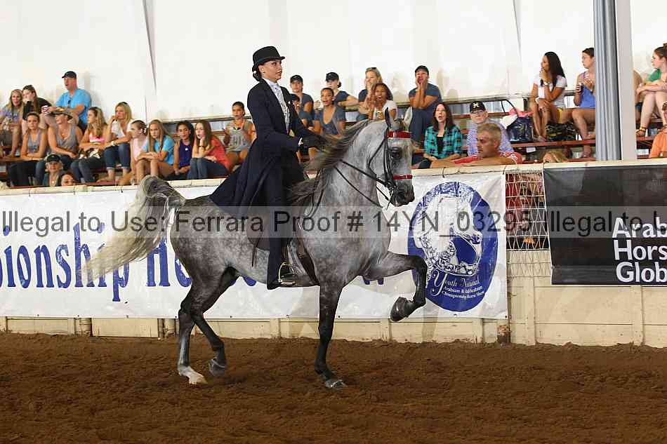 Proof 14yn_03295