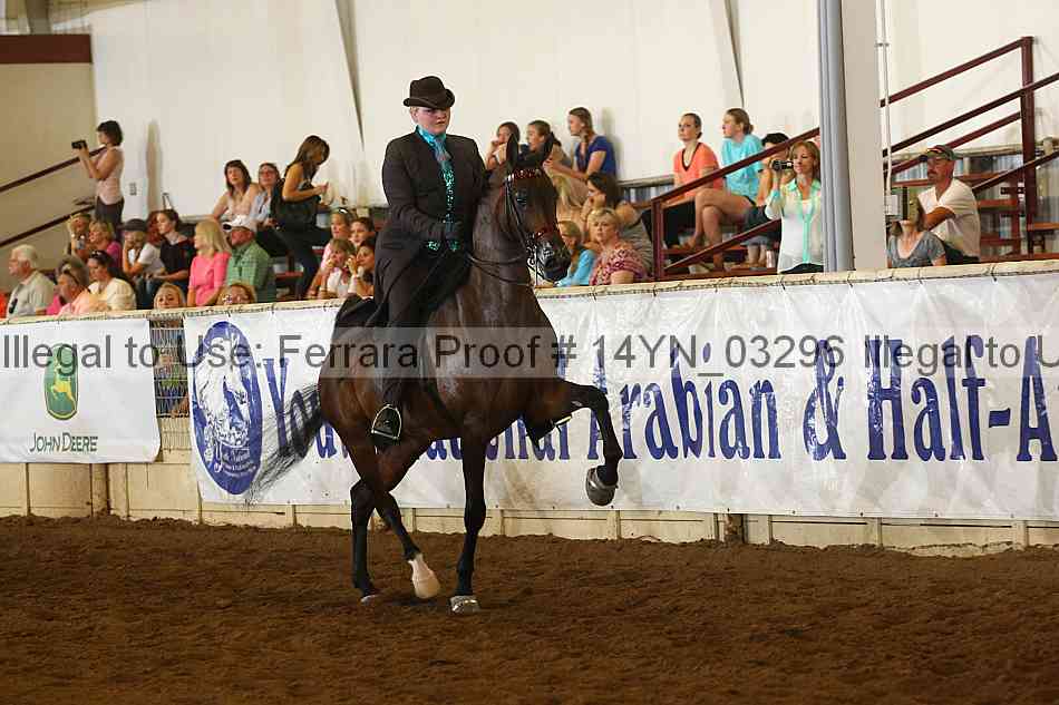 Proof 14yn_03296