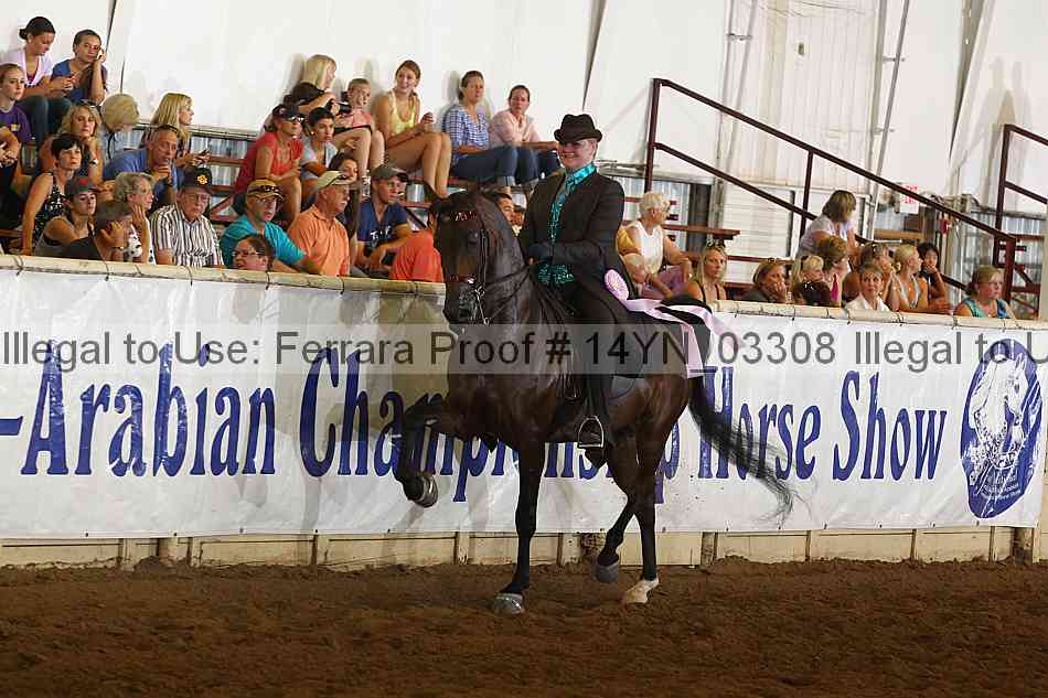 Proof 14yn_03308
