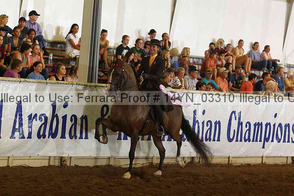 Proof 14yn_03310