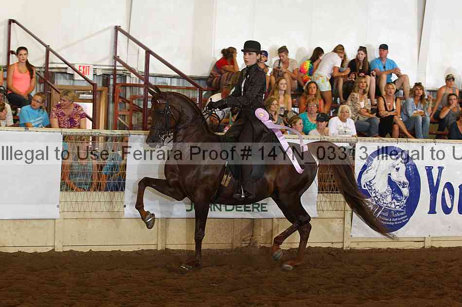 Proof 14yn_03313
