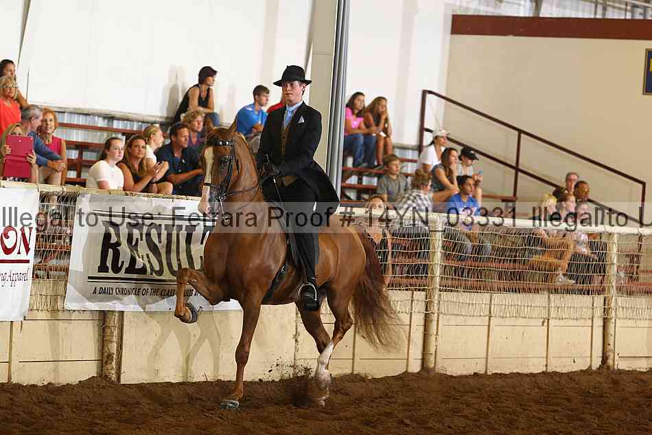 Proof 14yn_03331