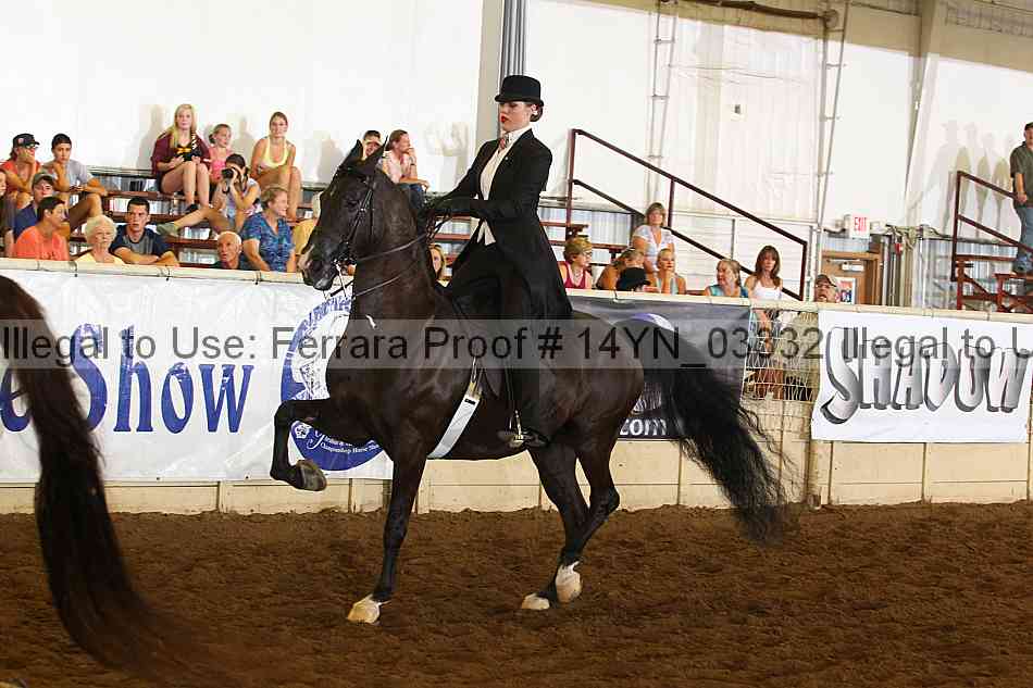 Proof 14yn_03332