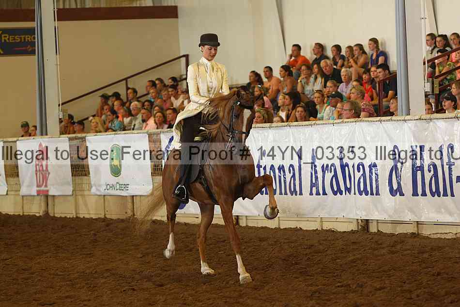 Proof 14yn_03353