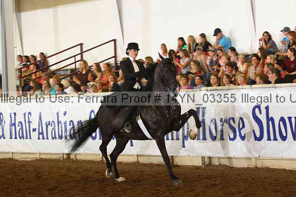 Proof 14yn_03355