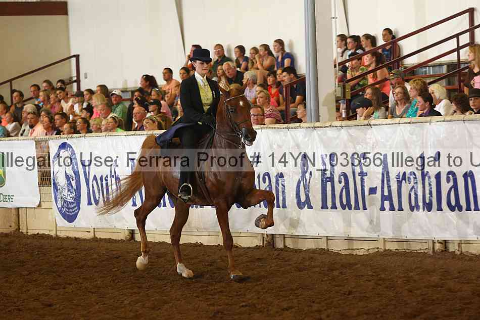 Proof 14yn_03356