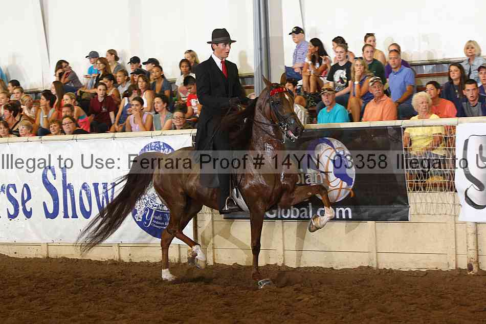 Proof 14yn_03358