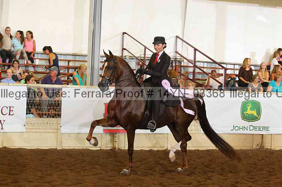Proof 14yn_03368