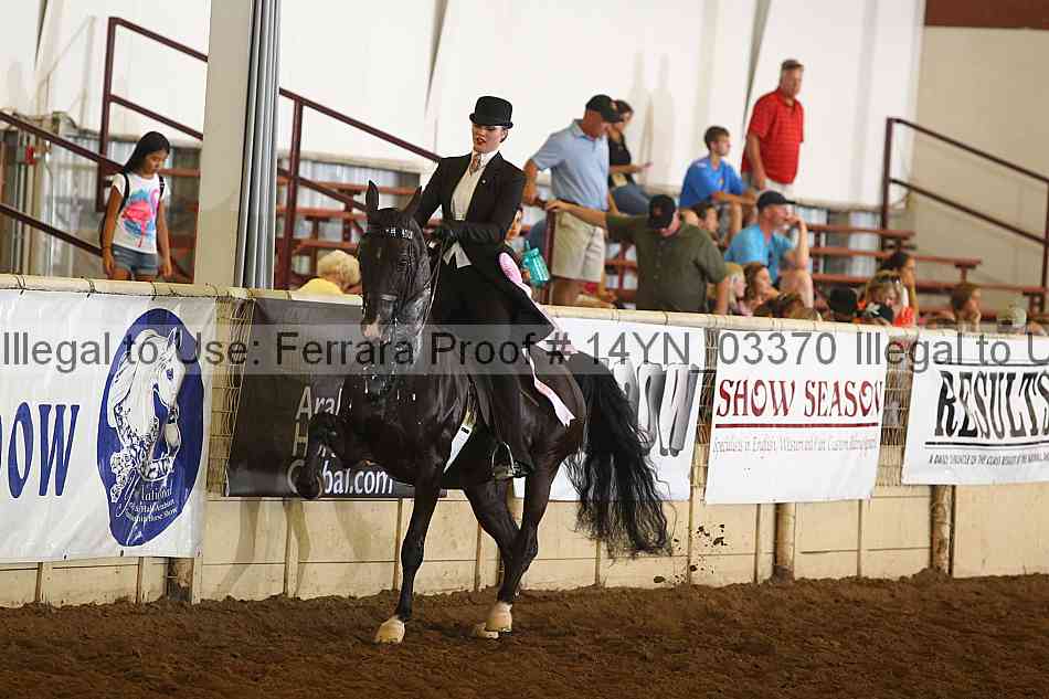 Proof 14yn_03370