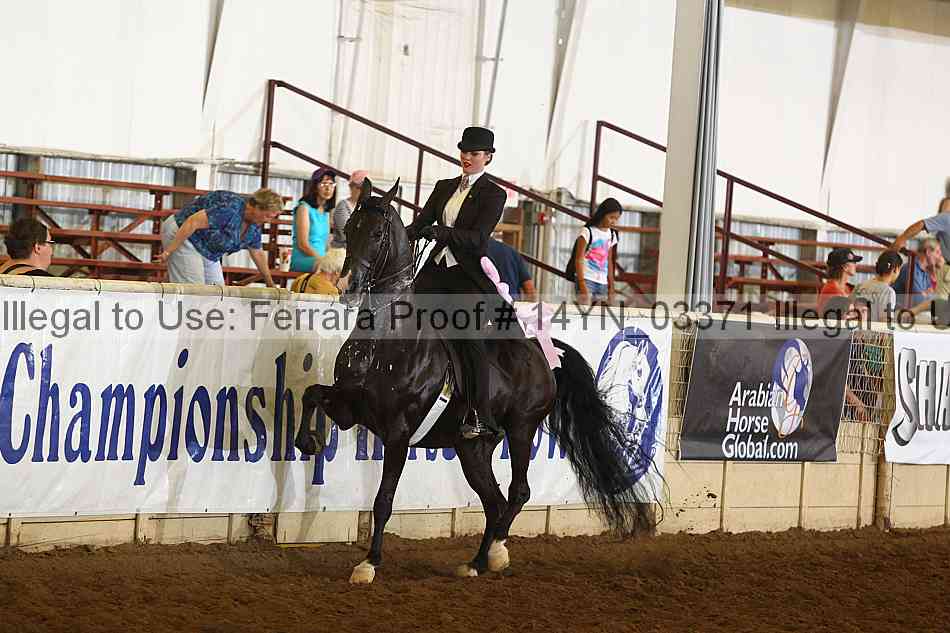 Proof 14yn_03371