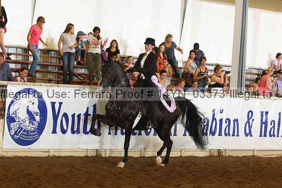Proof 14yn_03373