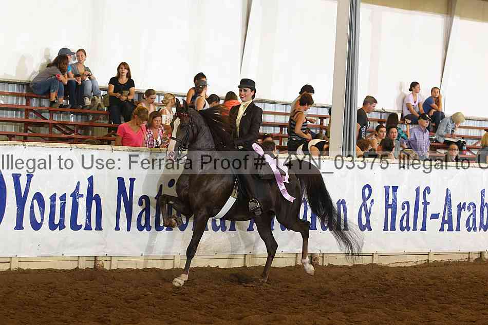 Proof 14yn_03375