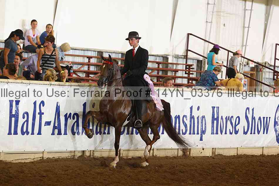 Proof 14yn_03376
