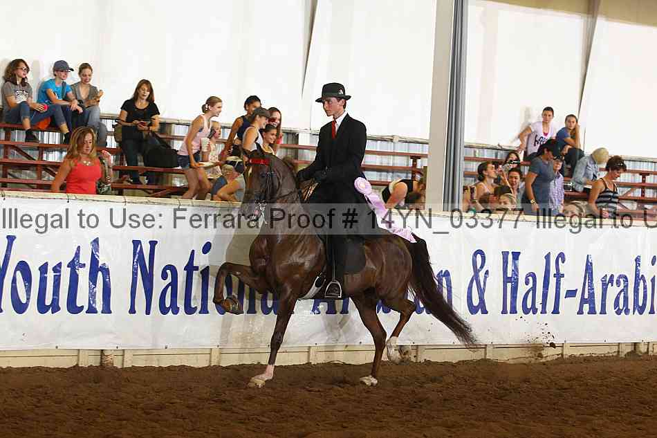 Proof 14yn_03377
