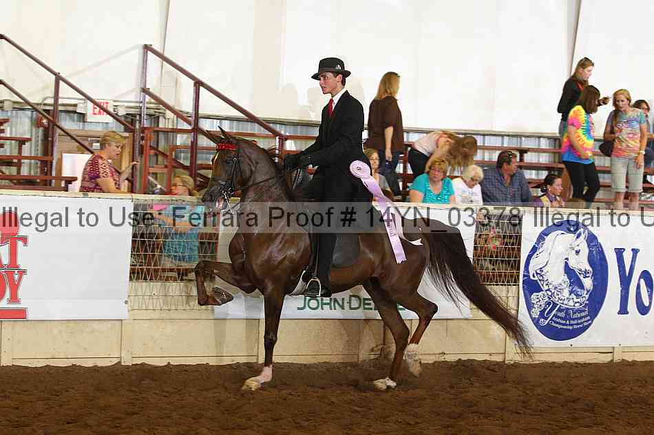 Proof 14yn_03378