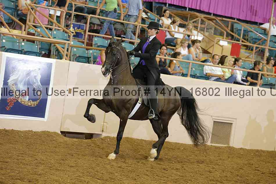 Proof 14yn_16802