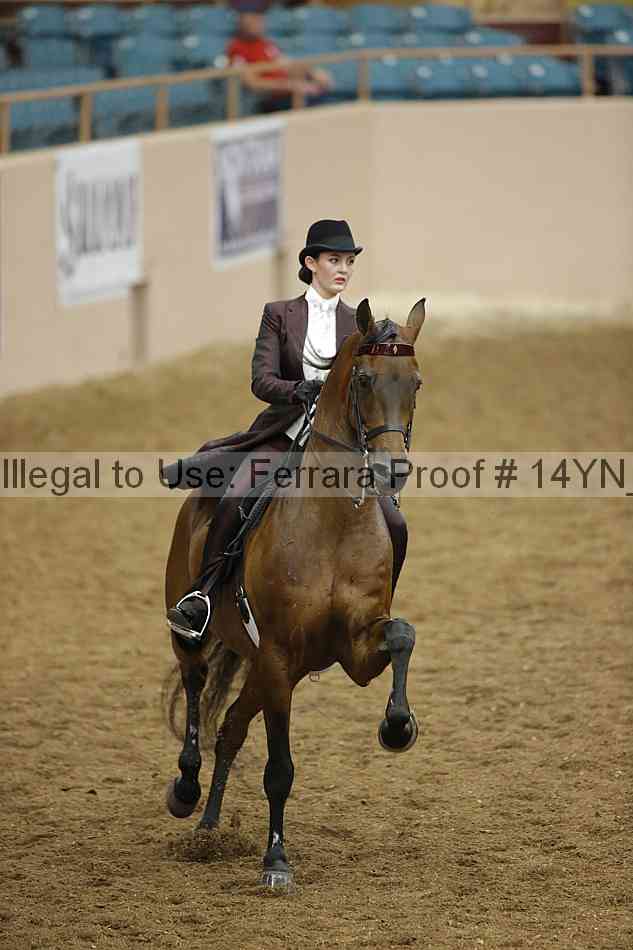 Proof 14yn_16803