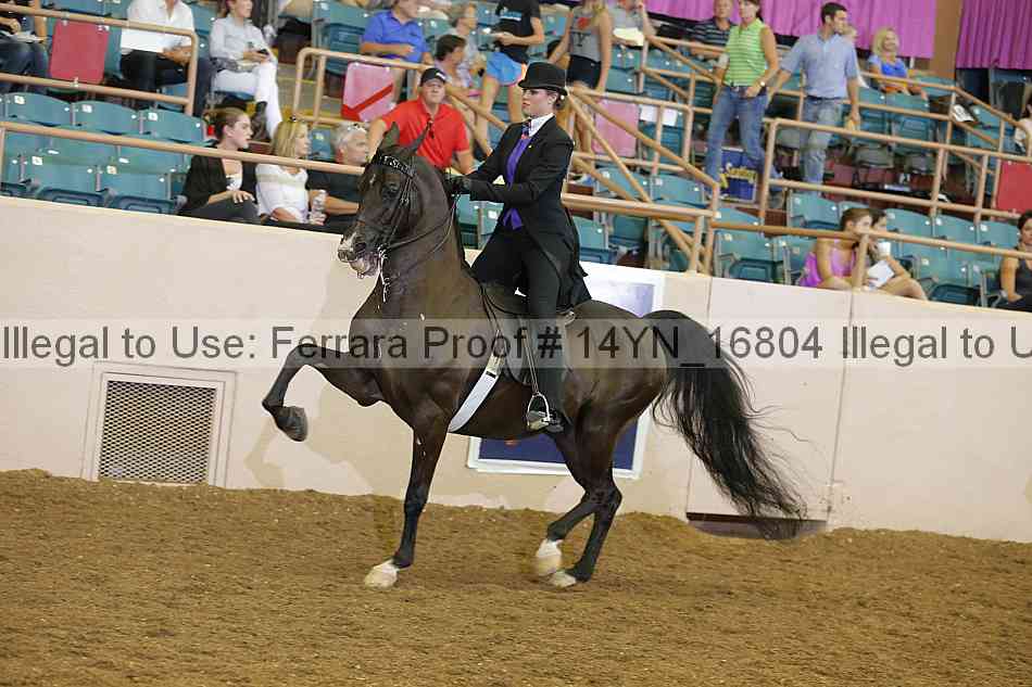 Proof 14yn_16804