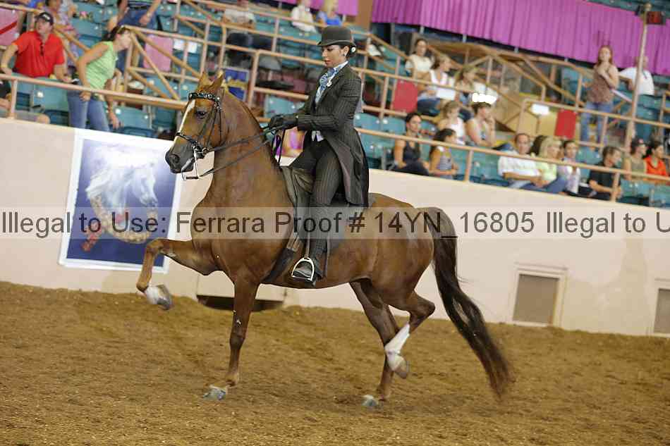 Proof 14yn_16805