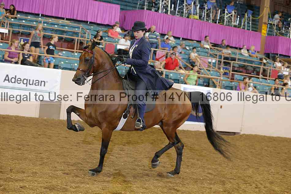 Proof 14yn_16806