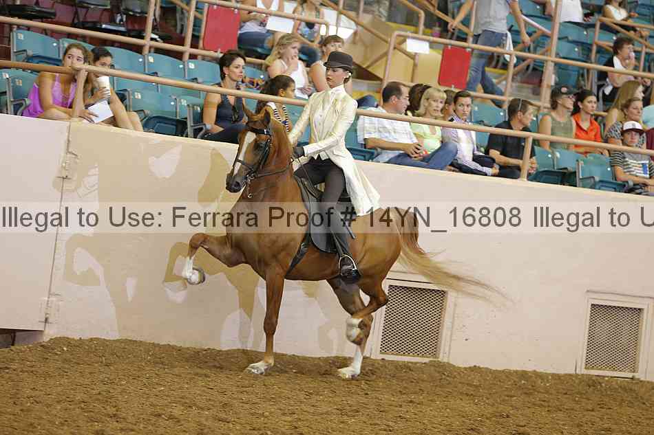 Proof 14yn_16808