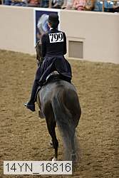 14yn_16816 proof