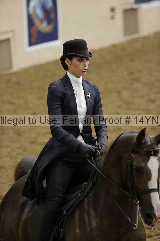 Proof 14yn_16833