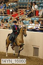14yn_16860 proof