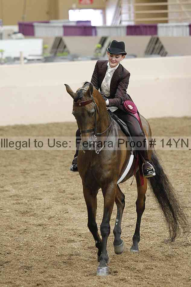Proof 14yn_16905