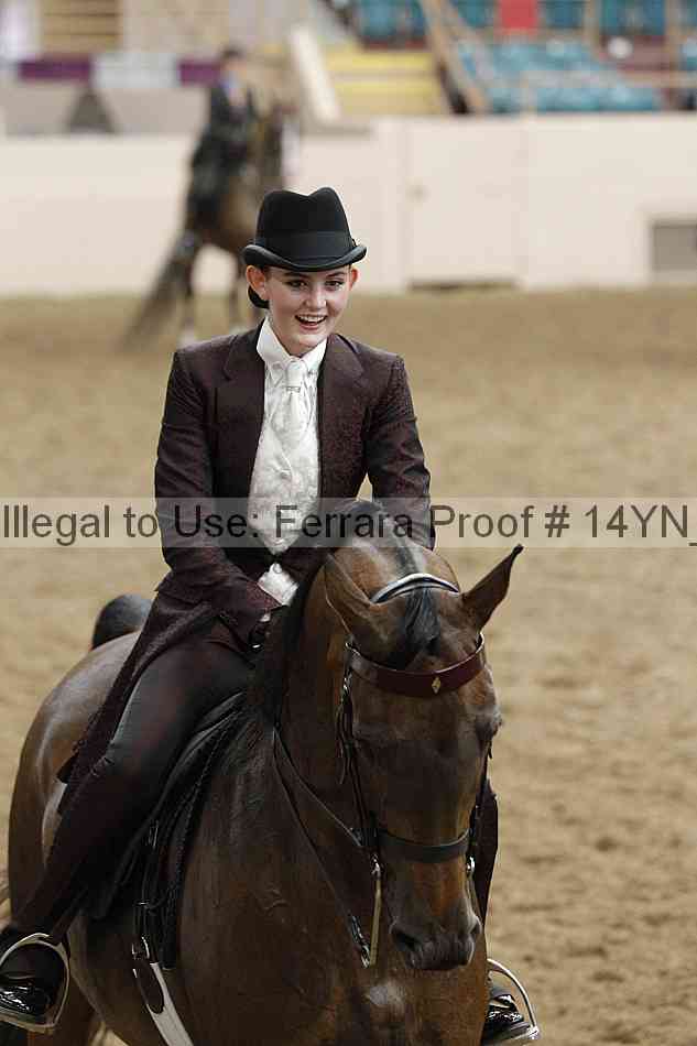 Proof 14yn_16907