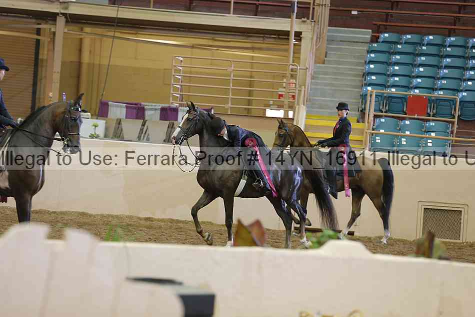 Proof 14yn_16911