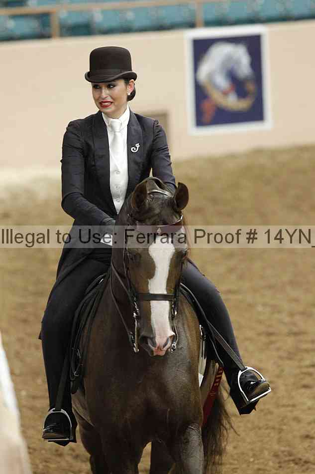 Proof 14yn_16917