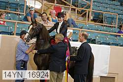 14yn_16924 proof