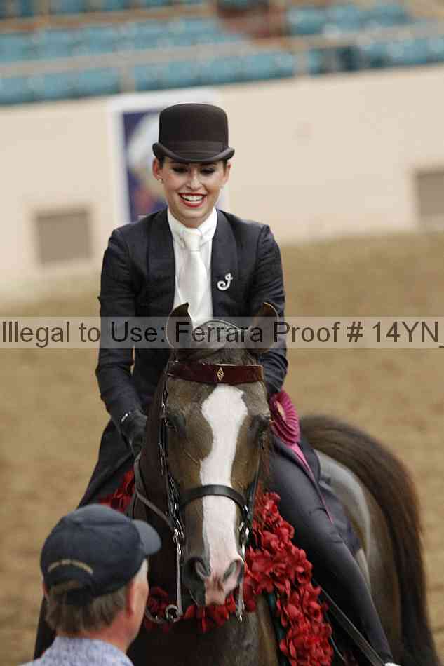 Proof 14yn_16937