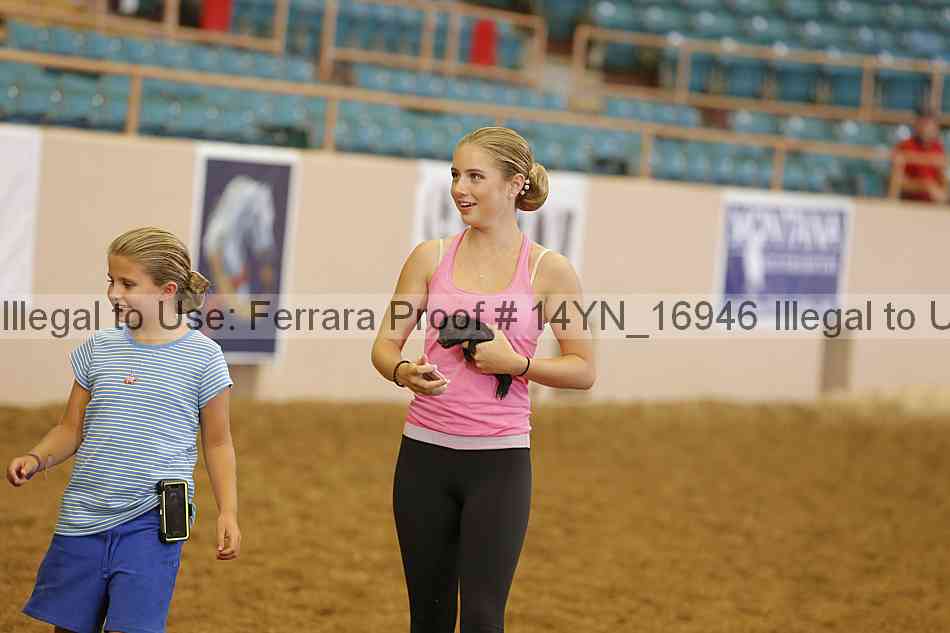 Proof 14yn_16946