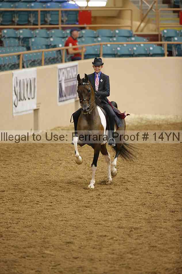 Proof 14yn_16957