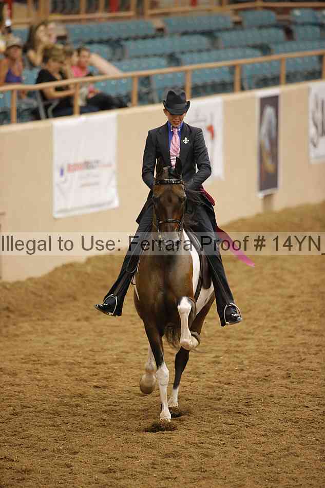 Proof 14yn_16962
